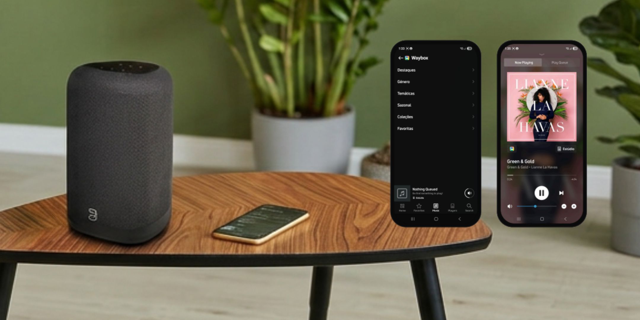 A Waybox já está na plataforma BluOS!