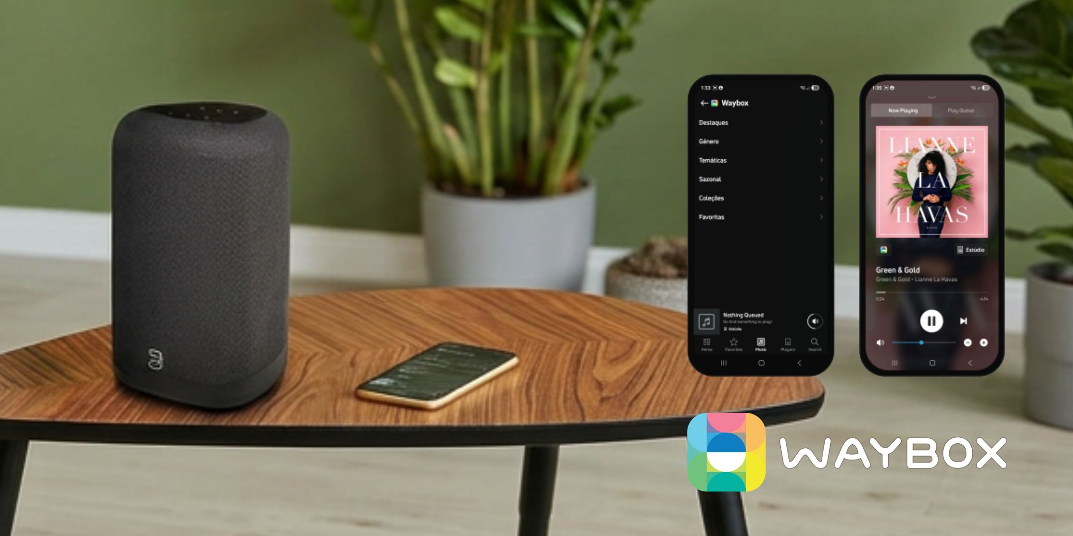 Waybox no ecossistema BluOS